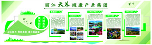 企业背景