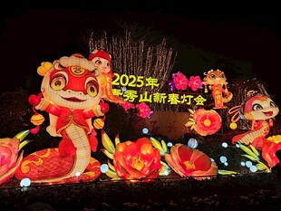 灯会灯展