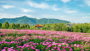 乡村小镇