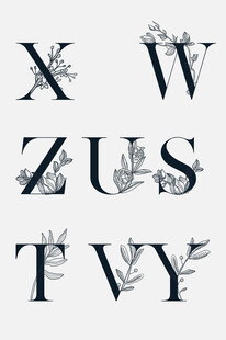 手绘线描花卉英文字母艺术字
