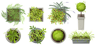 绿植盆栽俯视插画
