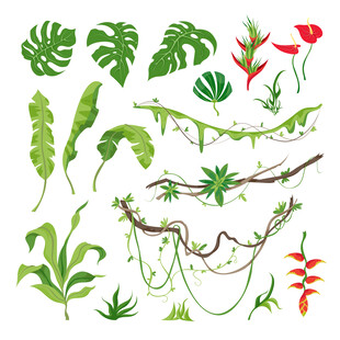 卡通绿植蔓藤矢量插画