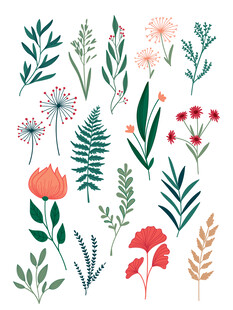 扁平风花卉插画元素