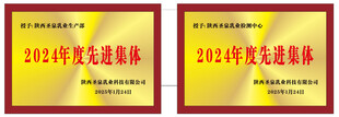 木托  奖牌  金属  
