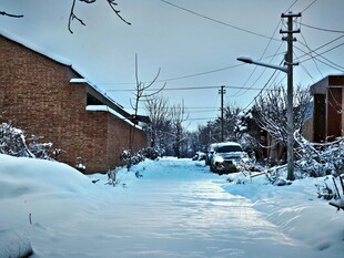 雪景