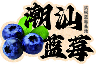 潮汕蓝莓