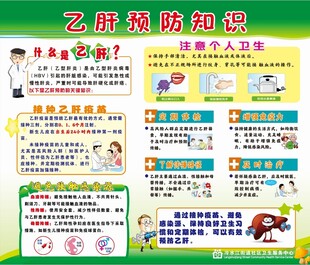 乙肝预防知识