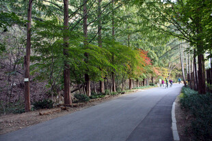 山林公路