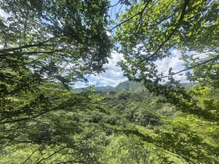 山里