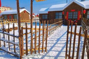 雪景