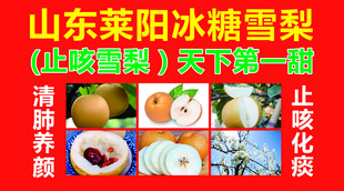 冰糖雪梨