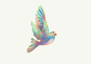 鸟