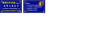 牛杂面