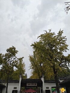 虎丘