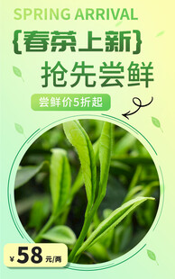 春茶上市