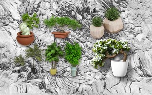 绿植背景墙  
