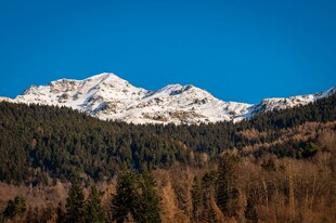 森林雪山
