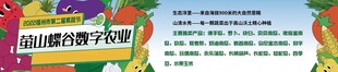 卡通蔬菜水果公司介绍展板