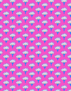 叶子花