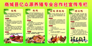 养殖合作社宣传栏