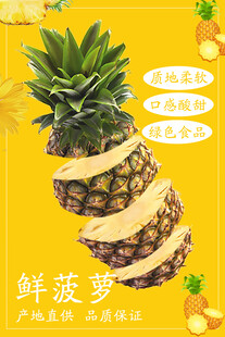 菠萝海报 