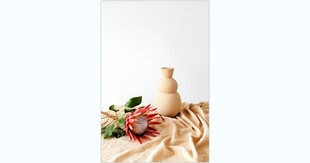 现代抽象花卉静物客厅装饰画