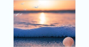沙滩海景油画
