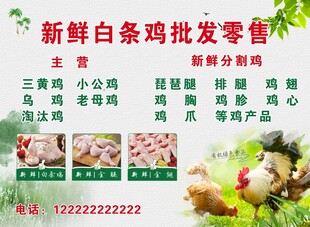 新鲜白条鸡