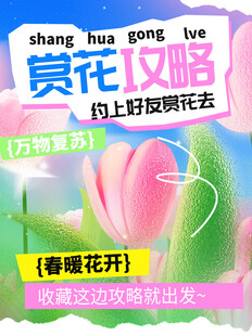 赏花踏青