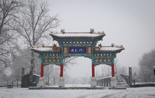 菏泽国花门雪景