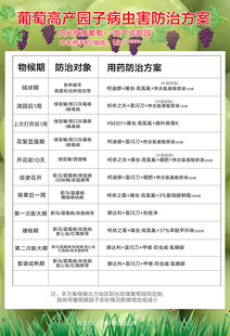 葡萄果树全年用药方案表