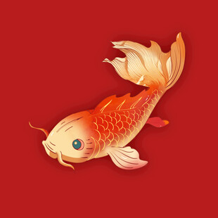 手绘锦鲤金鱼