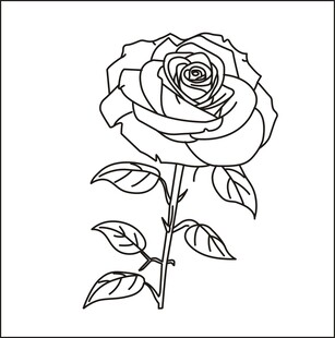 花线条