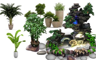 绿植盆栽素材集合二
