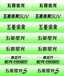 五菱车铭牌五菱宏光五菱星光