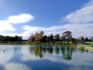 奥克兰小镇人工湖风景