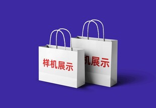 纸袋 样机 企业 vi 展示