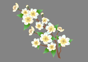 春天花卉