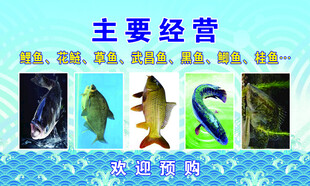 鱼海鲜名片广告