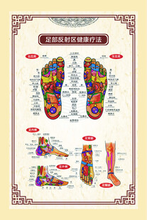 中医穴位示意图