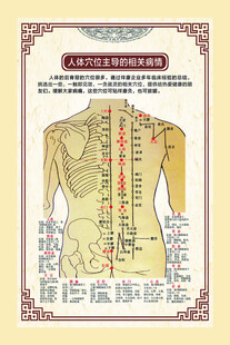 中医养生经络保健海报