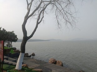 水岸风光