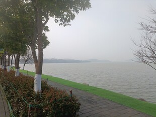 水岸风光