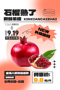 石榴