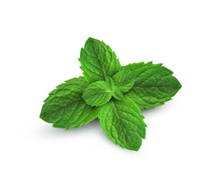 薄荷
