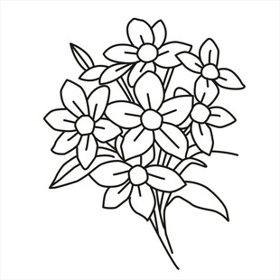 花线条