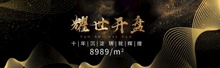 黑金   房地产
