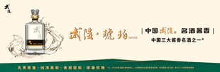 武陵酒海报  琥珀509系列