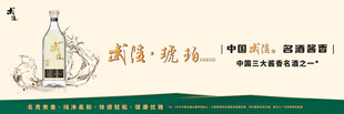 武陵酒海报  琥珀1000系列