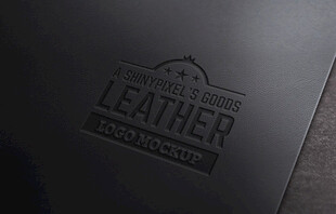 logo贴图样机